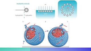 physical pharmacy 2  types of colloidal system  optical properties of colloids [upl. by Mariska]