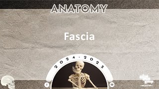 Revision of L7 Fascia  Anatomy [upl. by Lebasile]