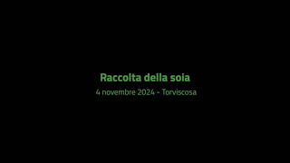 Raccolta della soia  4 novembre 2024 [upl. by Nashner]