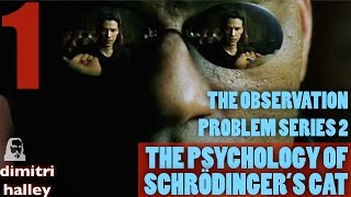 The Observation Problem Series 2 1 The Psychology of Schrödingers Cat [upl. by Chlo]