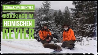 Drückjagd auf Schwarzwild und Rehwild  Schwarzwaldhunters  Jagen im heimischen Revier [upl. by Ecirehs189]