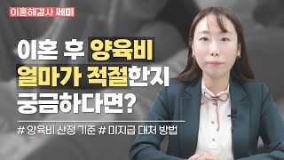 의정부이혼전문변호사 양육비 산정 기준부터 미지급 대처까지 양육비에 대한 궁금증 한번에 정리 이혼해결사 쎄미 EP2 [upl. by Lanctot]