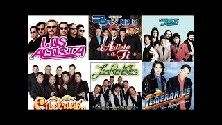 Ⓗ LOS BUKIS  LOS ACOSTA  GRUPO BRINDIS  LOS REENES  LIBERACION  LOS TEMERARIOS [upl. by Ihtak676]