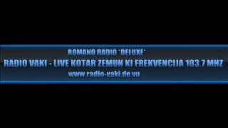 Denis DemirovicZeneva 2009RAdioVakiZemun [upl. by Fleck454]