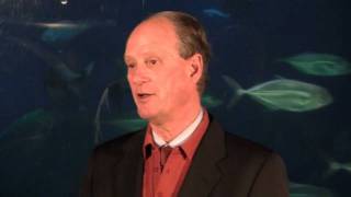 Dr Robert Ballard Talks About Planet Ocean [upl. by Eelsnia]