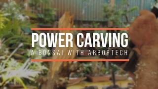 Bonsai Carving  Carving a Bonsai Tree with Arbortech [upl. by Rebane]