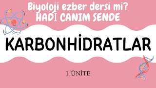 Biyolojii TYT 1ÜNİTE ORGANİK BİLEŞİKLER KARBONHİDRATLAR [upl. by Hametaf]