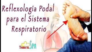 REFLEXOLOGÍA PARA EL SISTEMA RESPIRATORIO [upl. by Alakam]