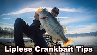 Lipless Crankbaits Year Round Tips To Catch Bigger Bass [upl. by Namajneb929]