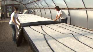 Nebraska Winter Strawberries Capillary Mat Construction [upl. by Muscolo]