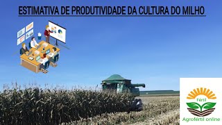 Estimativa de produtividade da cultura do milho  1º ETAPA [upl. by Isac]