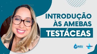 Curso Introdução às Amebas Testáceas [upl. by Remos855]