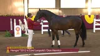 Lord Leopold  Don Henrico  KN 27 [upl. by Myrtia520]