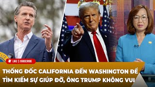 Cà Phê Sáng P4 11122024 Thống đốc Cali đến Washington tìm kiếm sự giúp đỡ ông Trump không vui [upl. by Nomi168]