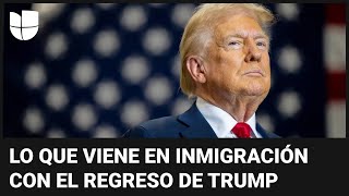 Recomendaciones para indocumentados ante el temor por el regreso de Donald Trump a la presidencia [upl. by Dyana]