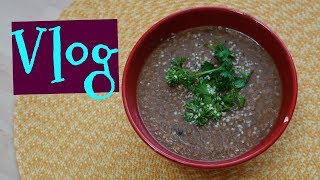 Vlog Hayao Miyazaki movie Day amp Vegan Instant Pot RecipeDr Dray [upl. by Friday]