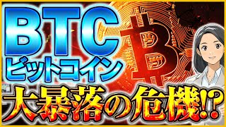 【仮想通貨BTC大暴落】ビットコインが大きく下落してしまう要因とは？バブル崩壊はいつ？【大統領選挙暗号資産】 [upl. by Otilegna]