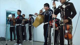 MARIACHI NUEVA ESPERANZA DE TAMAZUNCHALE SLP [upl. by Ijic]