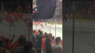 Sheffield Steelers goal vs Cardiff Devils 300324 🏒 [upl. by Tayib]