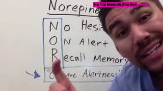 Psychiatric Pharmacology introduction norepinephrine dopamine serotonin part 1 of 30 [upl. by Ailhat]