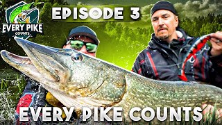 EVERY PIKE COUNTS 2023 with Happy Angler  Episode 3 ENG SUB [upl. by Naashom920]