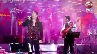 ANA GABRIEL VIÑA DEL MAR 2014 [upl. by Ovatsug641]