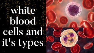 white blood cell and its types [upl. by Hamilton700]