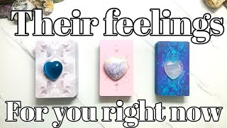 Their Current Thoughts and Feelings for You❤️‍🔥💘❤️🥰🥹😘 pick a card Love tarot reading [upl. by Bord]