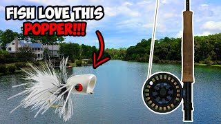 CRAZY Topwater Fly Fishing for BASS  Fly Fishing for Bass with Poppers [upl. by Eigna]