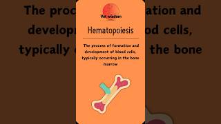 Hematopoiesis Blood Cell Formation Explained [upl. by Atekihs832]