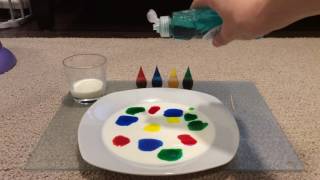 Magic milk experiment colours diy fun activity science [upl. by Accebor]