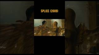 SPLICE 2009 ❤️Scene 56 movie movieclips shorts [upl. by Annahsat]