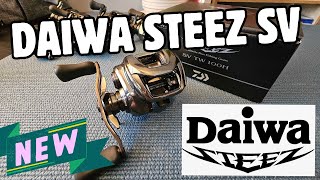 Daiwa Steez SV 2024 FIRST IMPRESSIONS 750 Really [upl. by Eiddet]