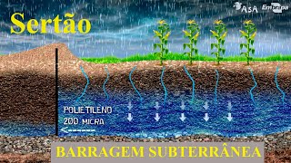 quotBarragem subterrânea é a caixa d’água do sertãoquot [upl. by Whitehouse279]