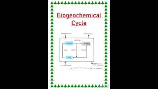 Biogeochemical cycle [upl. by Now706]