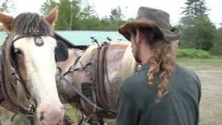 Vermont Mountain Top Inn Equestrian Vacation [upl. by Hnahk]