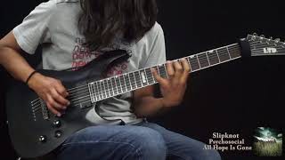 Slipknot  Psychosocial  Solo Cover [upl. by Hseyaj894]