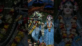 newsong love Tumi Radha Ami 12112024 [upl. by Adlig]