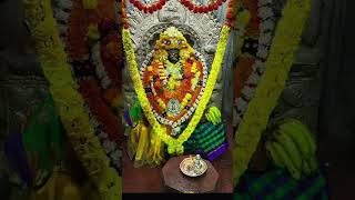 Dhanamma devi status video 2024 l Devi kannada song dailydarshan devi [upl. by Aniuqaoj]