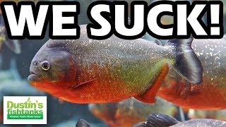 TOP 5 AQUARIUM FISH with the WORST PERSONALITIES [upl. by Arahs867]