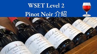 【廣東話】Pinot Noir 的特性、著名產區及 Food Pairing｜WSET Level 2 [upl. by Akinna]