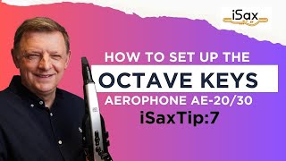 iSaxTip 7 How to set the octave key range on the Roland Aerophone [upl. by Dallis]