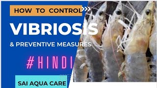 VIBRIOSIS Management  Treatment  HINDI version [upl. by Graces]