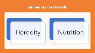 2Infancy and Toddlerhood Physical and Cognitive Development [upl. by Airdnahs]