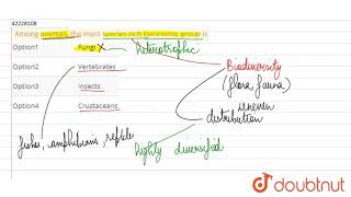 Among animals the most species rich taxonomic group is [upl. by Enneirb917]