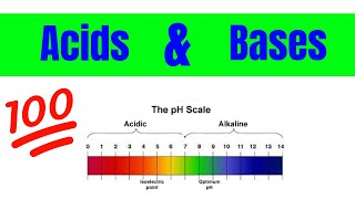 Properties of Acids and Bases  The Basics [upl. by Aibat]