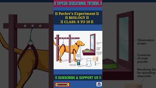 Pavlovs Experiment l Biology l Reflex Action l shorts biology trending science [upl. by Enileuqaj384]