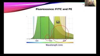 OpenFlow Multicolor Flow With Compensation Using a CytoFLEX LX [upl. by Lubet]