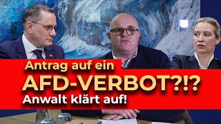 AfDVERBOT durch Bundestag Geht das Macht ein VerbotsAntrag Sinn Anwalt klärt auf [upl. by Dnumde]