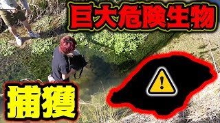 【衝撃】小魚を釣りに行ったらとんでもない生物に遭遇した・・ [upl. by Anaert]